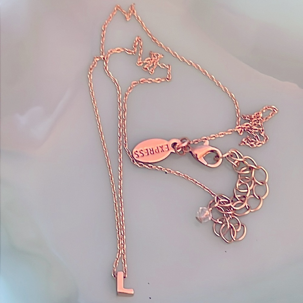 Express Tiny L Initial Gold Necklace. - image 2